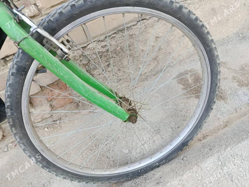 tigir - Bäherden - img 4