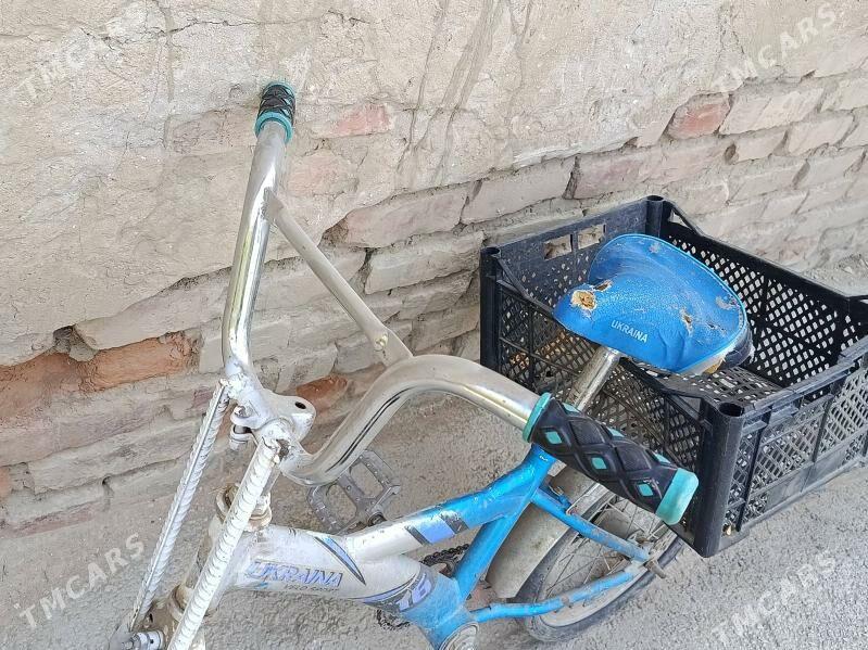 tigir - Bäherden - img 5