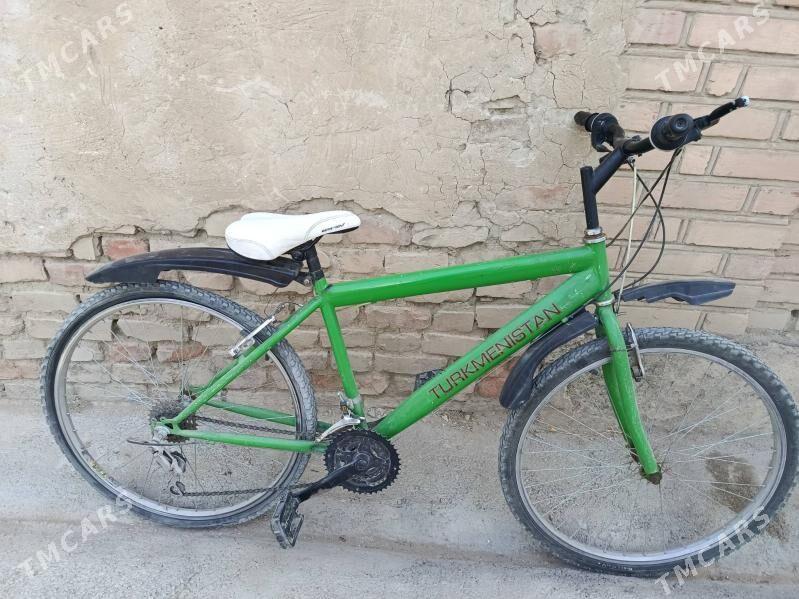 tigir - Bäherden - img 8