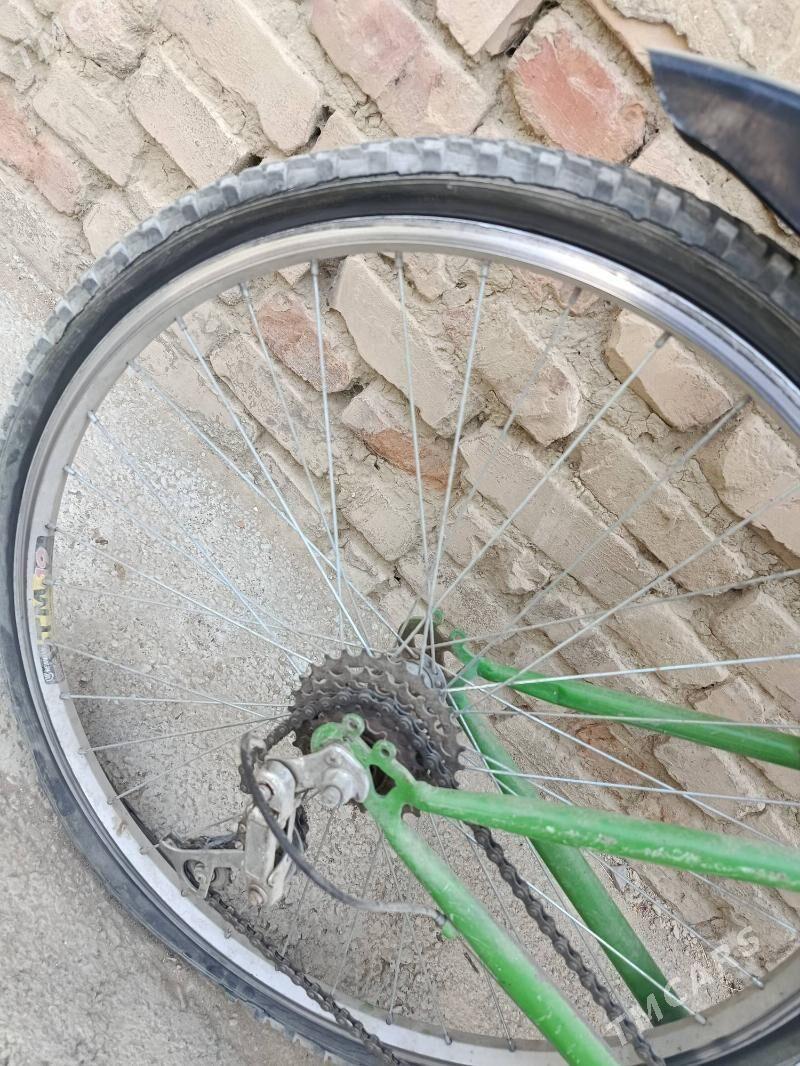 tigir - Bäherden - img 7