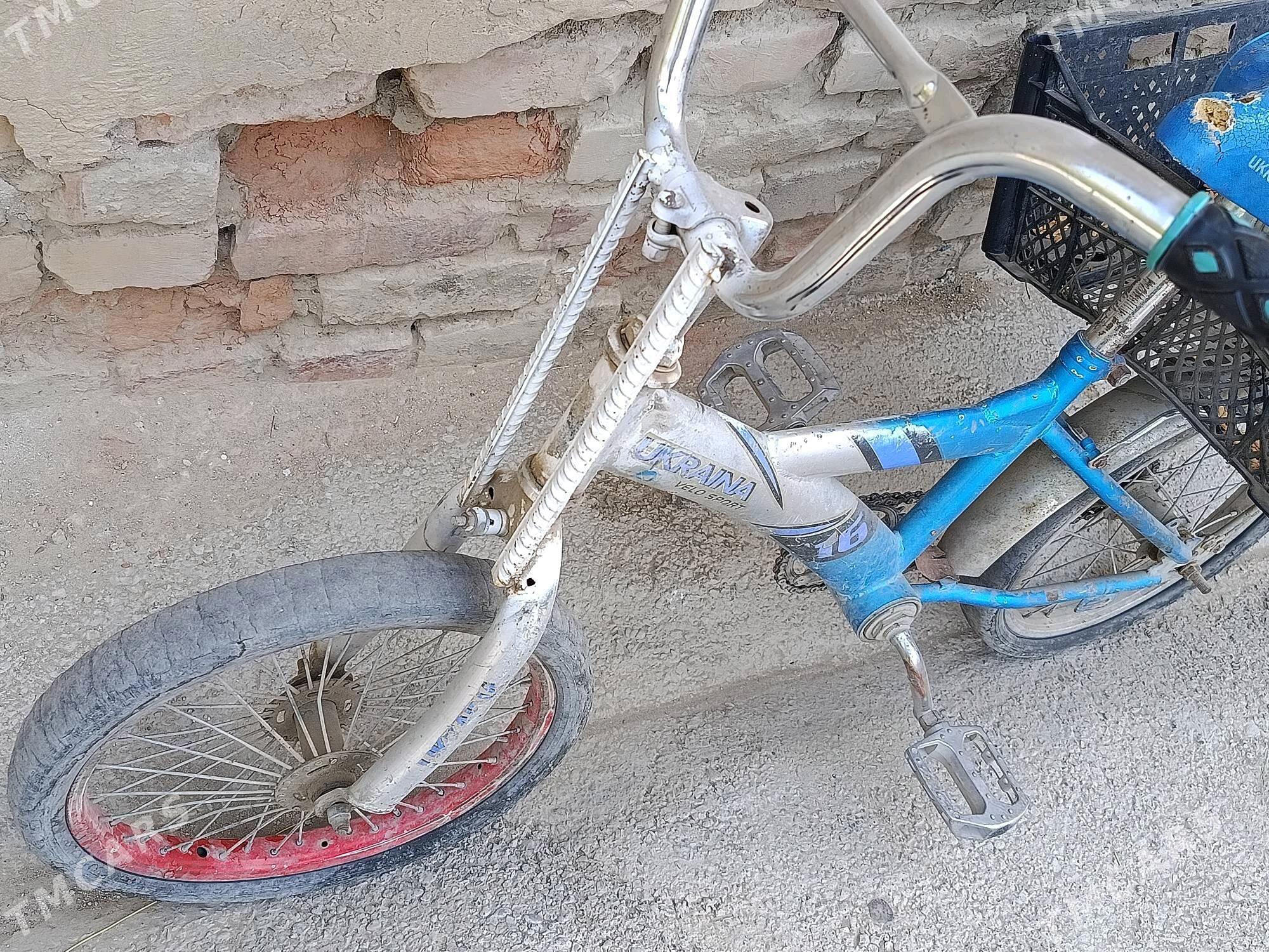 tigir - Bäherden - img 9