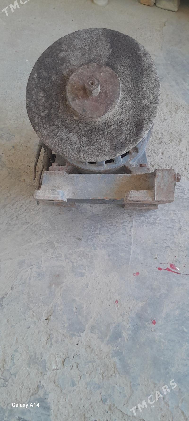 tacyla - Bäherden - img 3