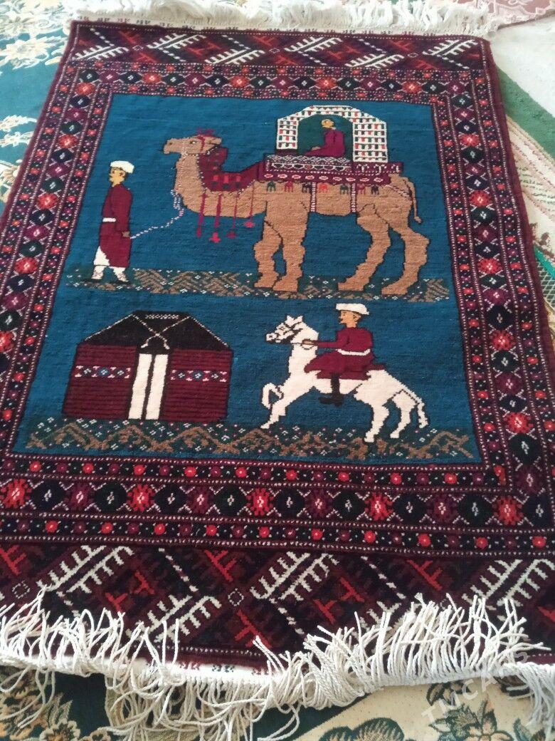 Halca - Balkanabat - img 2