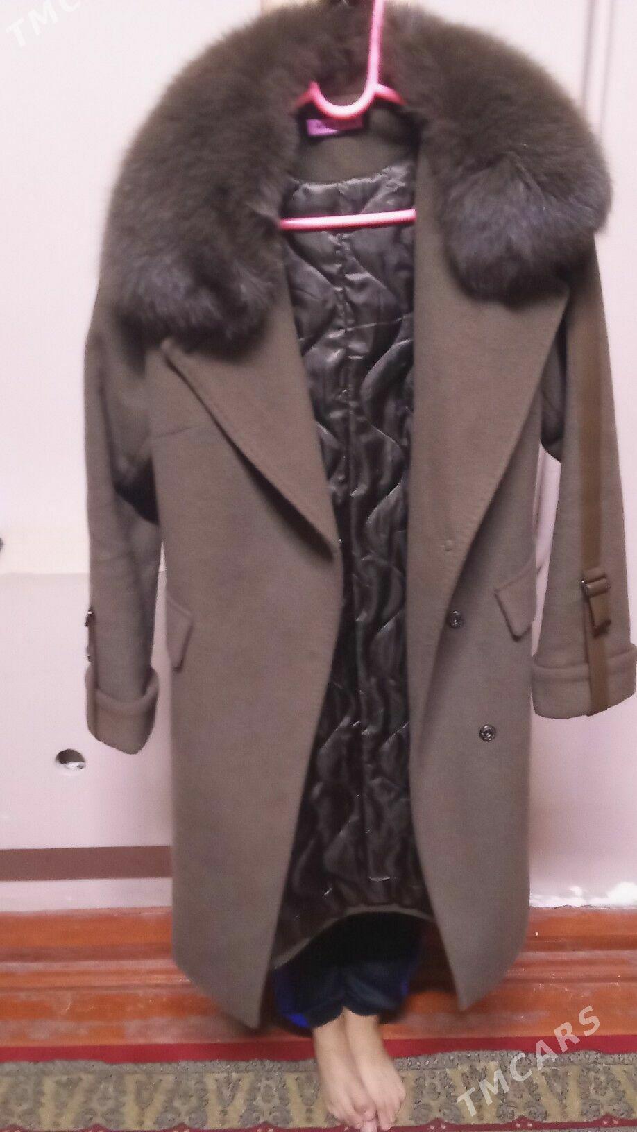 Palto - Daşoguz - img 3