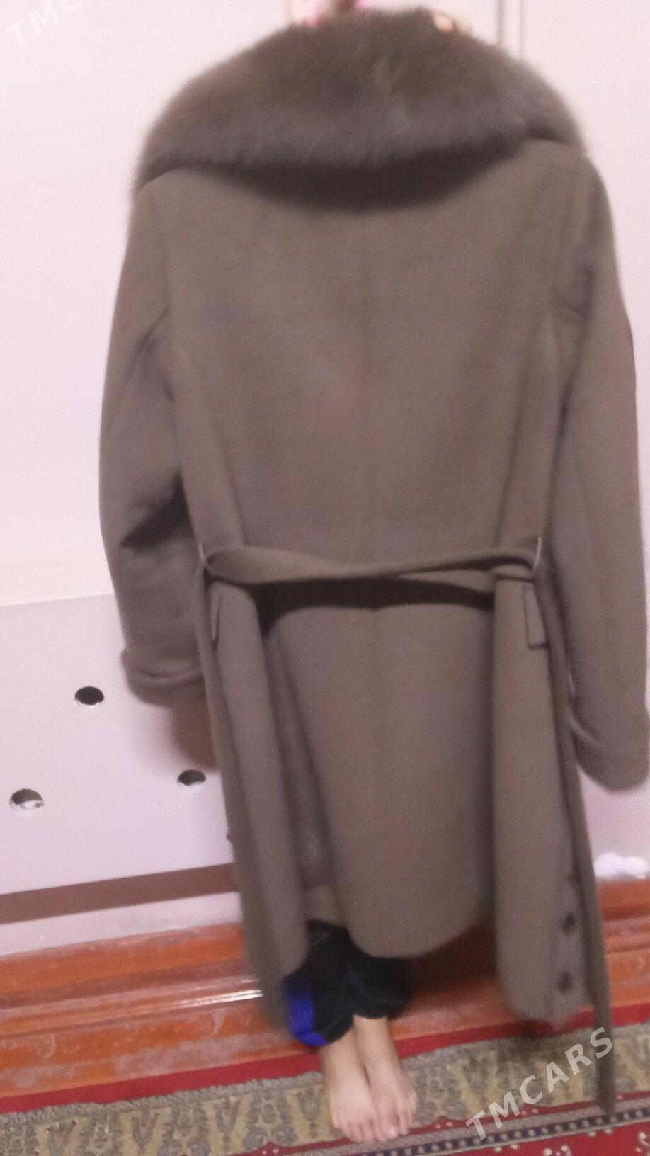 Palto - Daşoguz - img 2