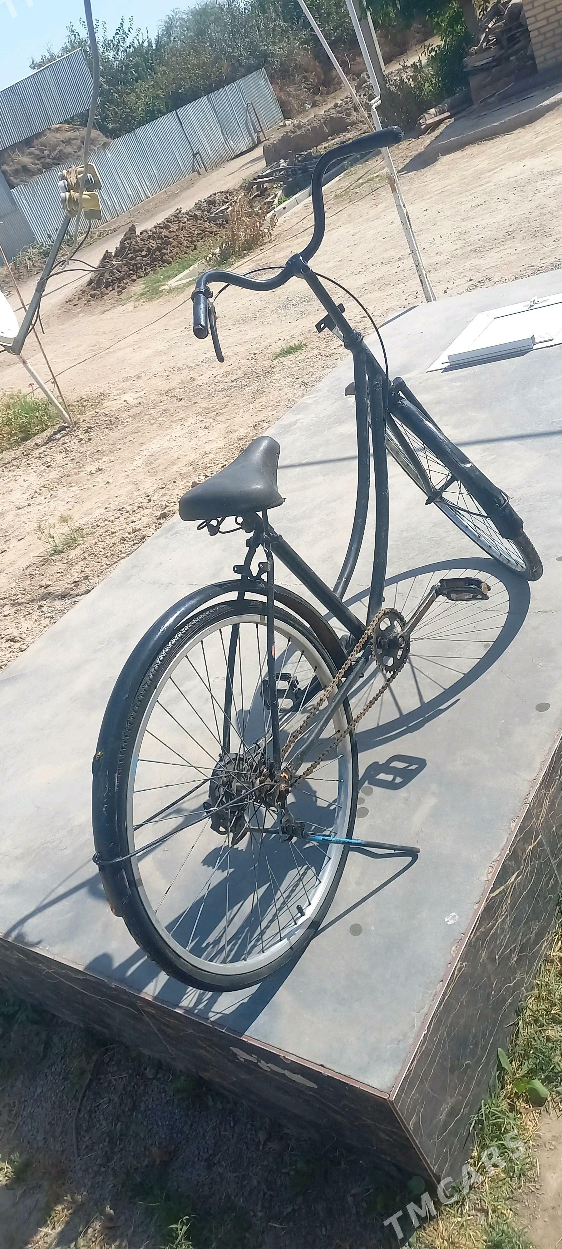 Veloseped 26 lyk - Сакарчага - img 2