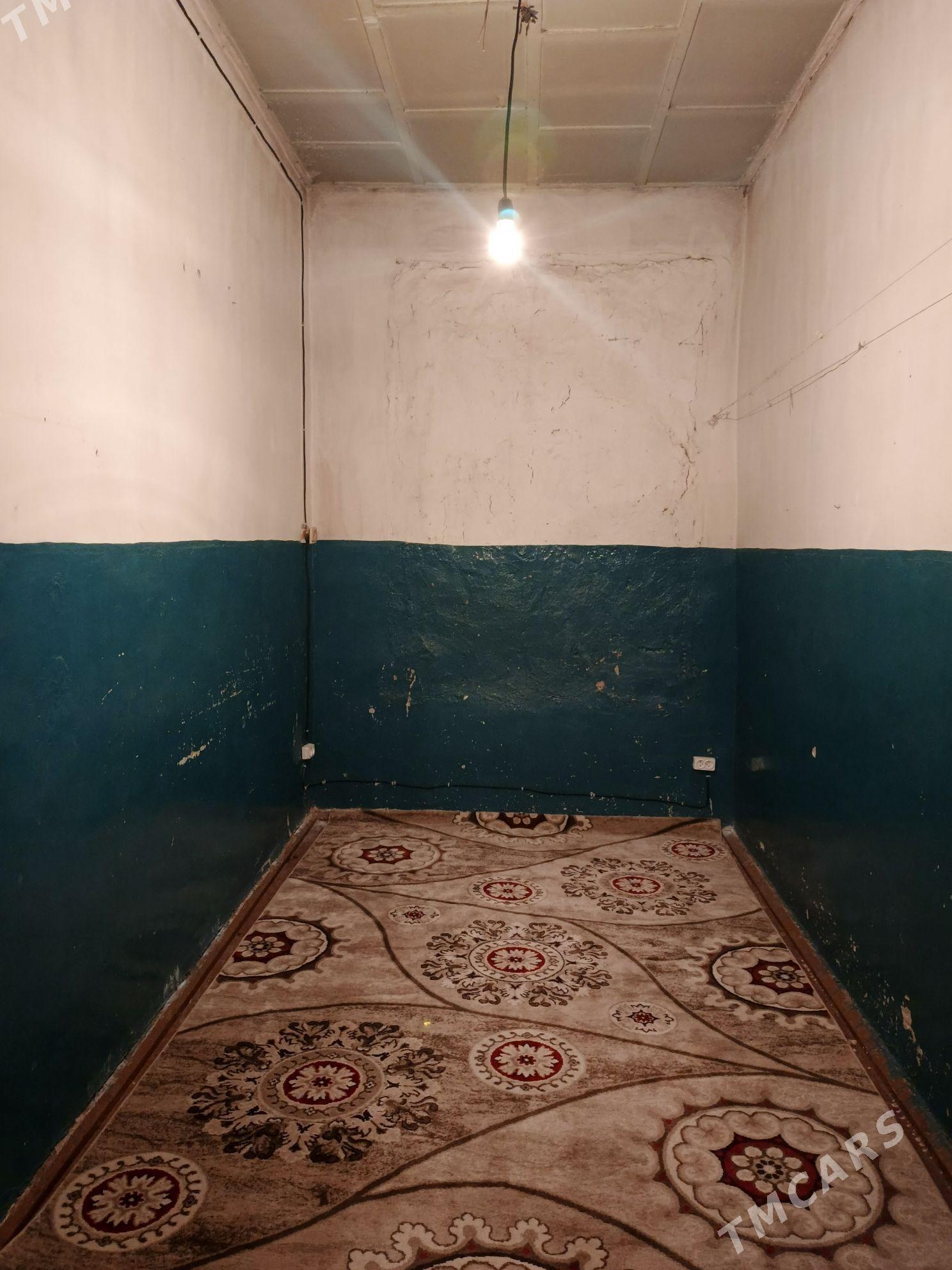 Baherden jay - Bäherden - img 2