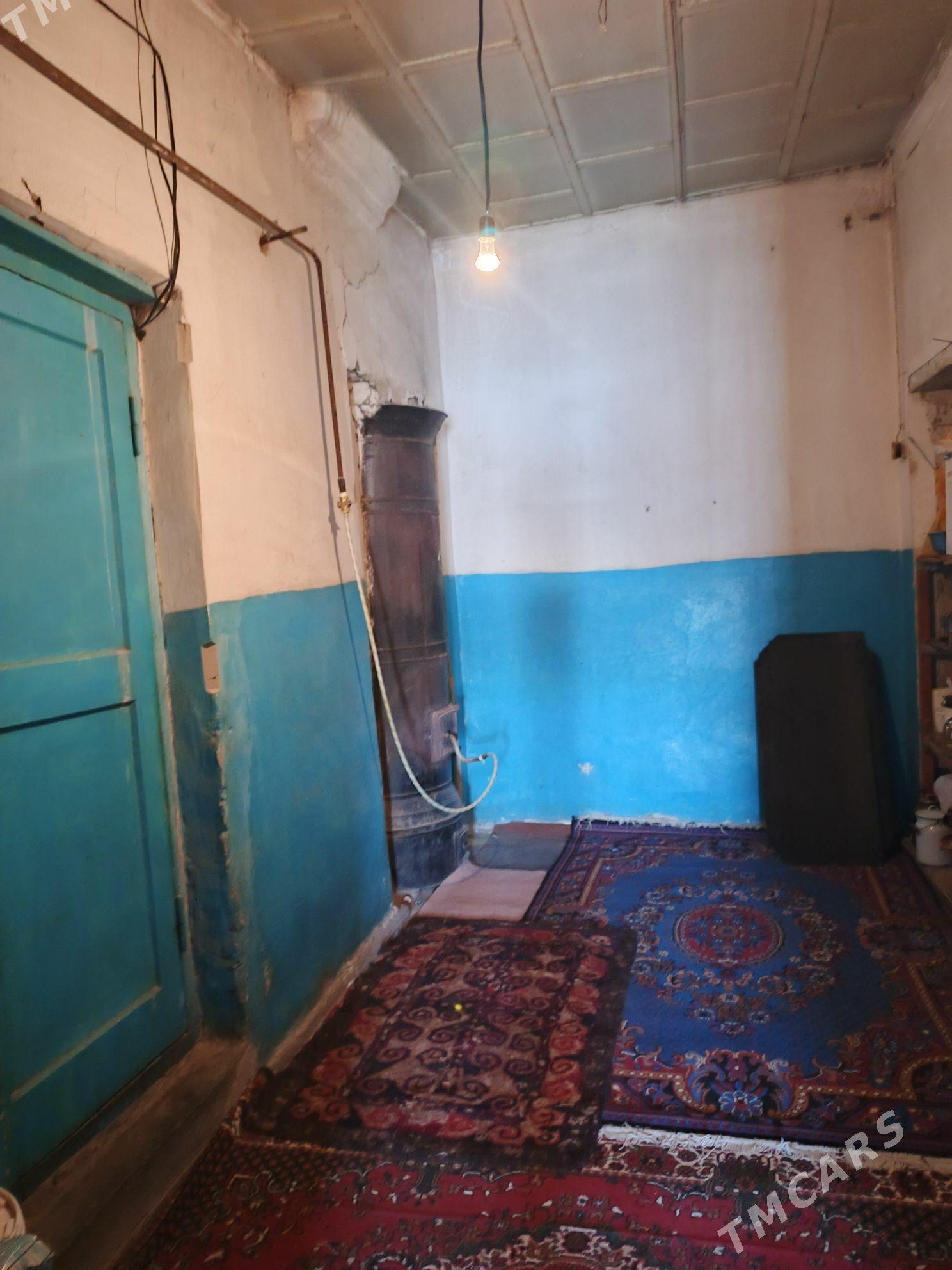 Baherden jay - Bäherden - img 4