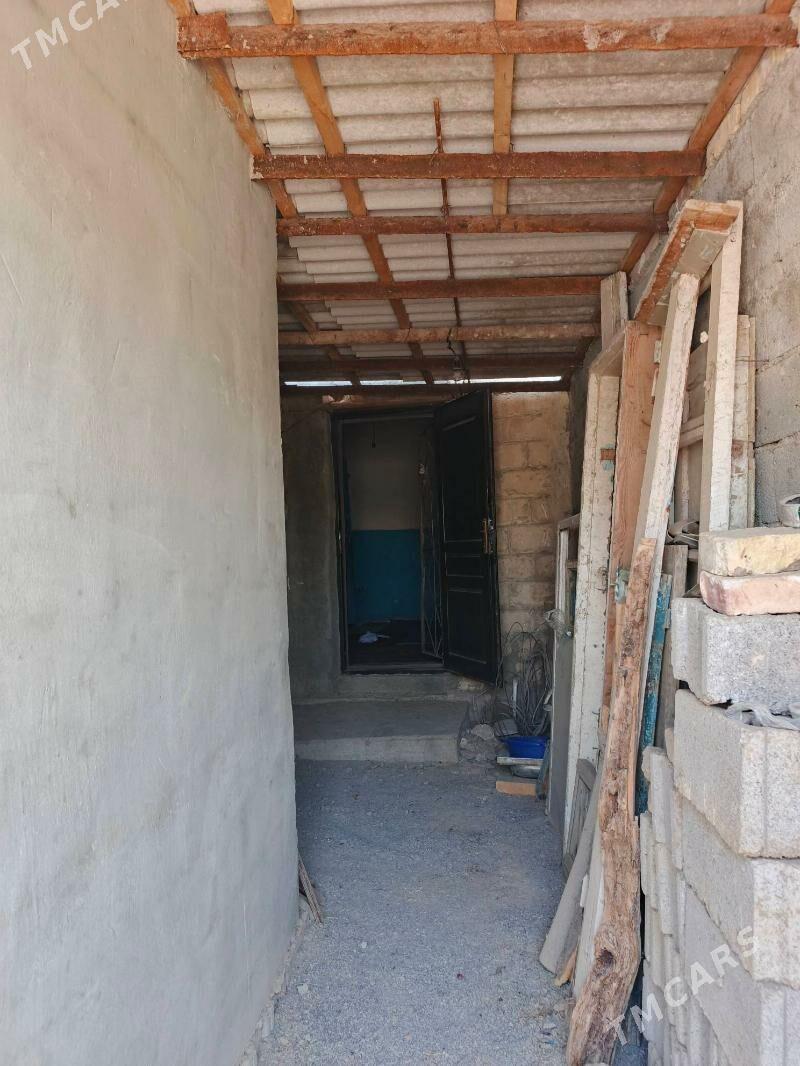 Baherden jay - Bäherden - img 3