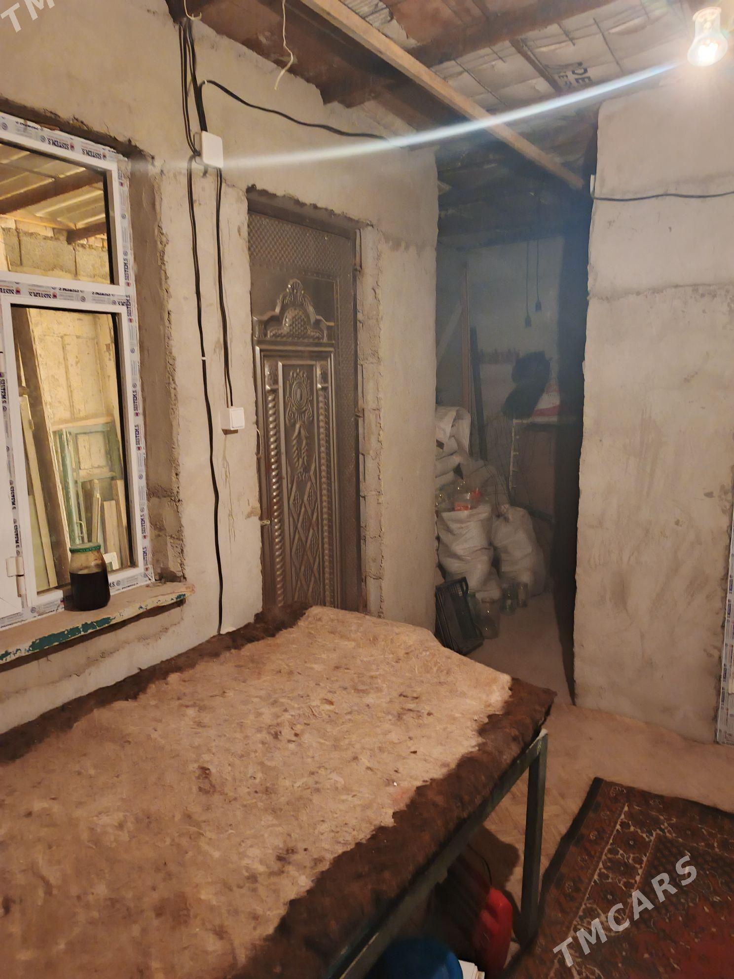 Baherden jay - Bäherden - img 7