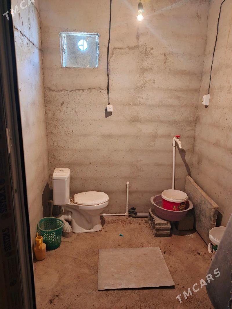 Baherden jay - Bäherden - img 6