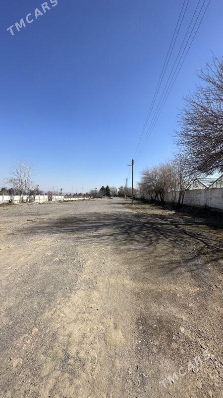 taze bitum zawod - Aşgabat - img 5