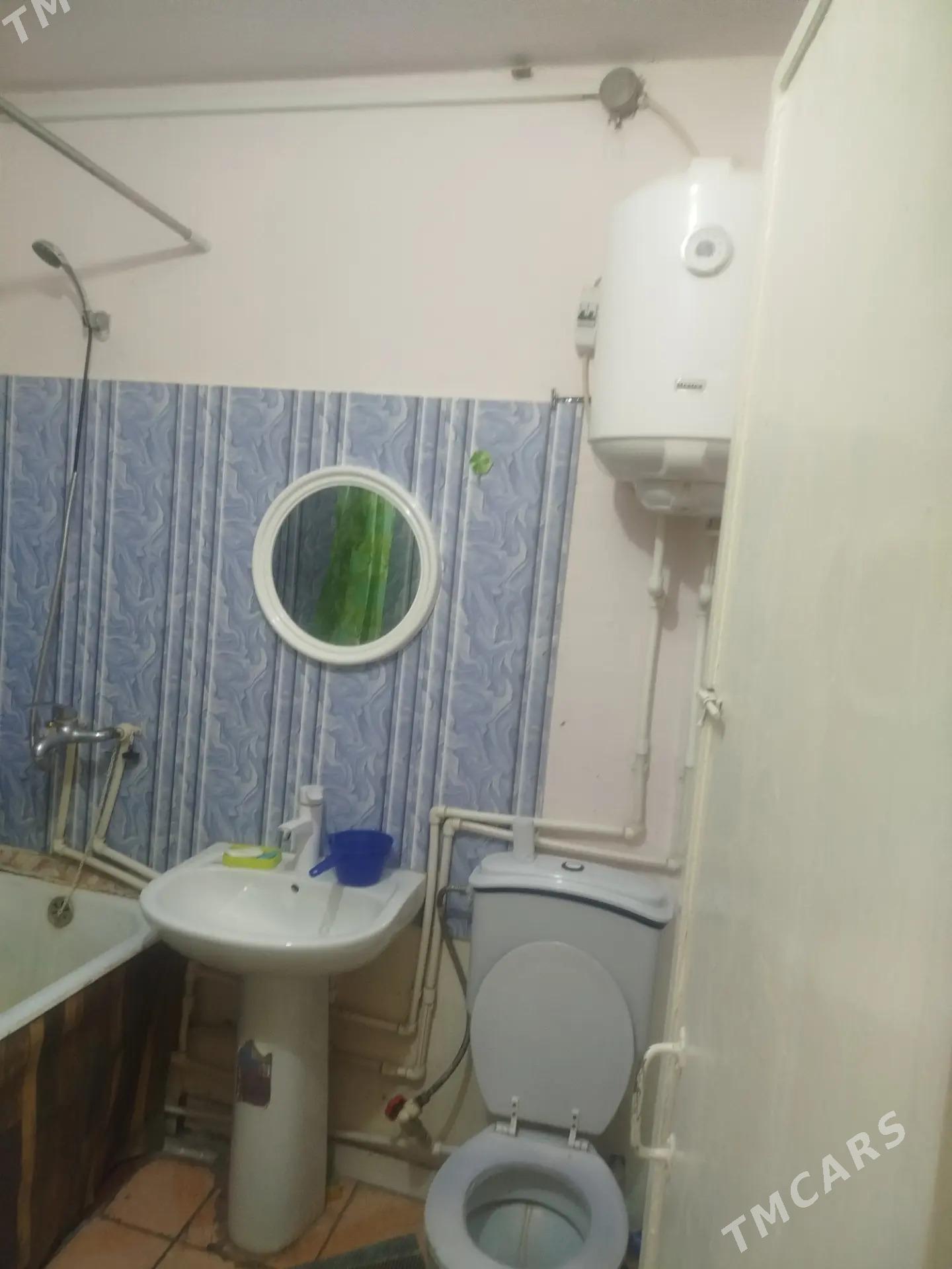 Satlyk jay - Мары - img 2