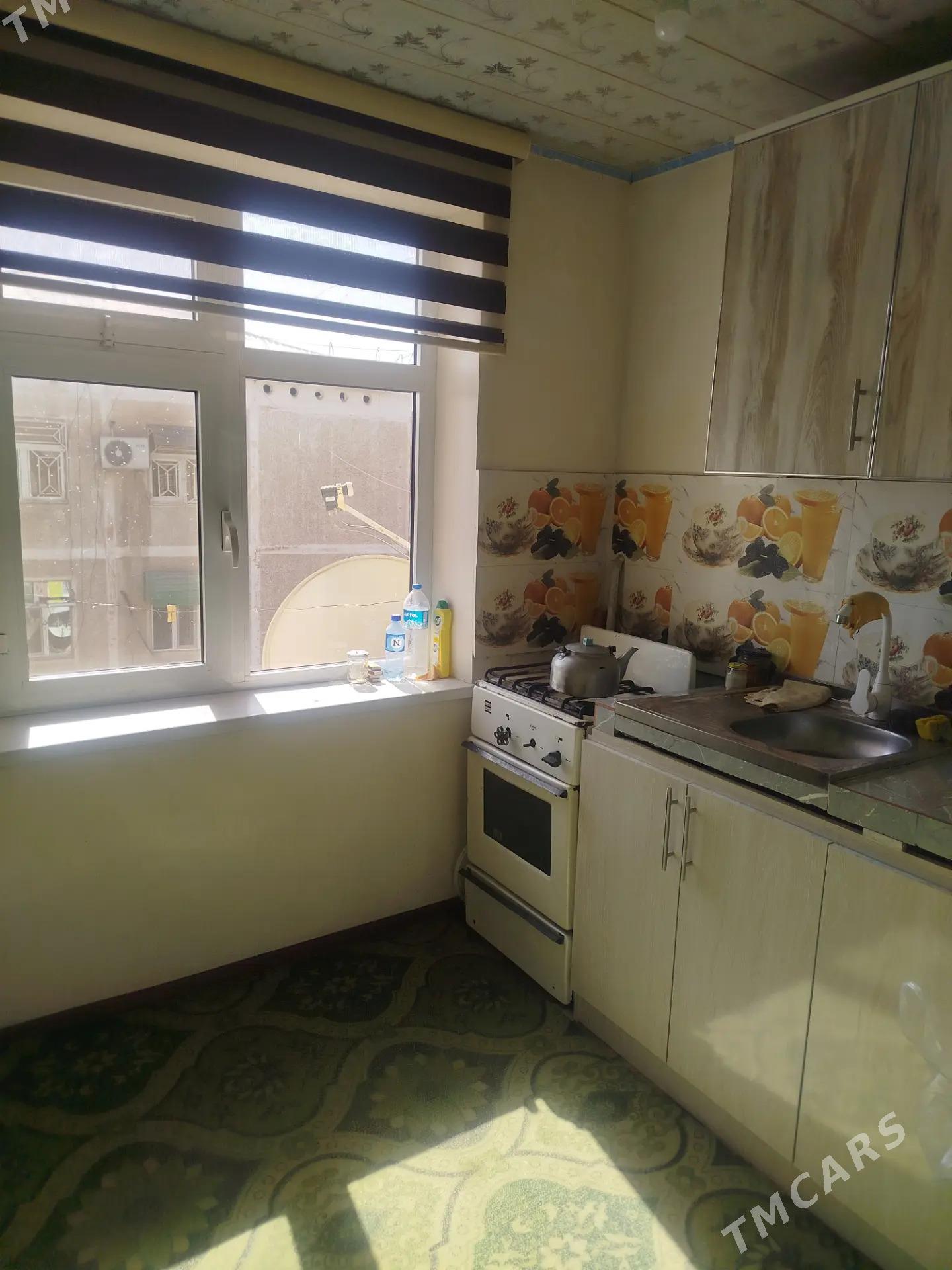 Satlyk jay - Мары - img 4