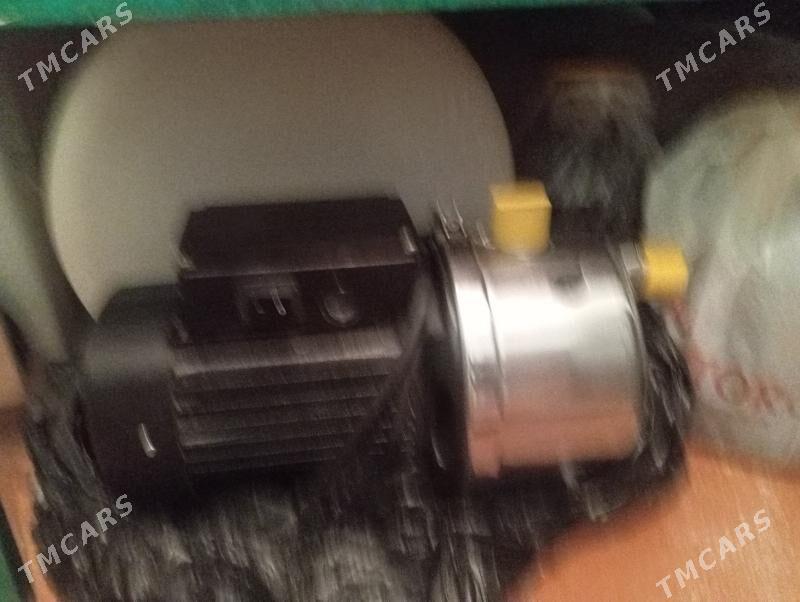 Nasos - Büzmeýin - img 2