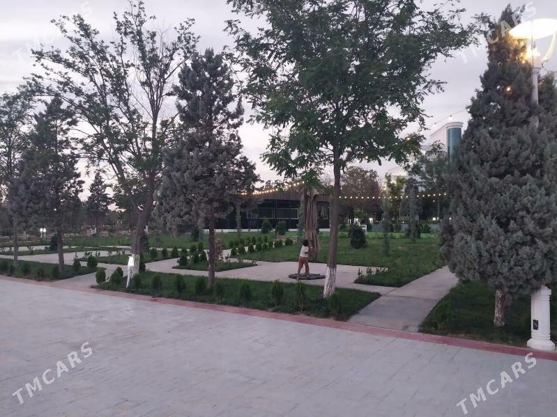 kafterya - Türkmenbaşy - img 7