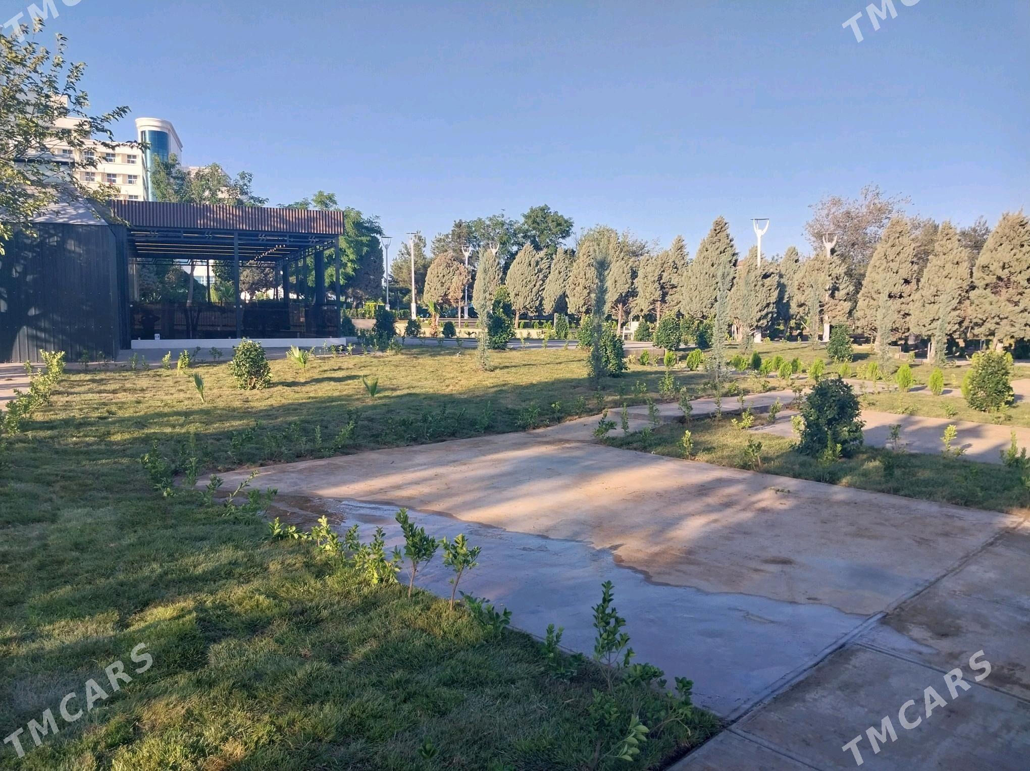 kafterya - Türkmenbaşy - img 8