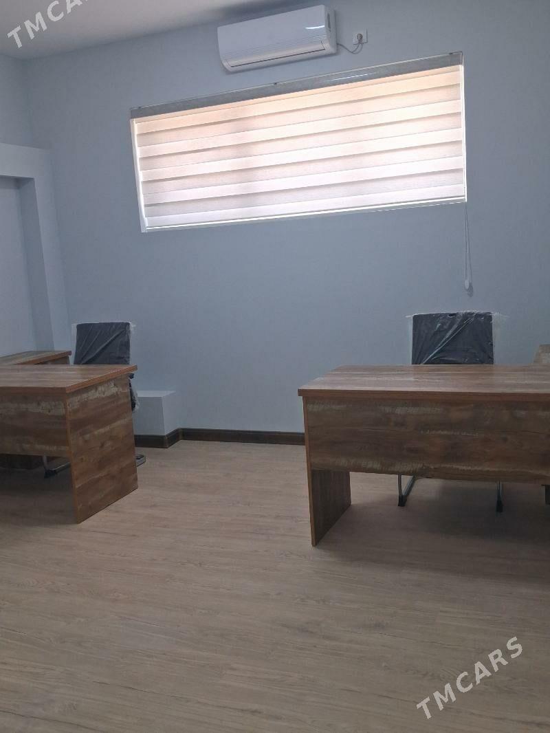 Satlyk gurtly ofis - Гуртли - img 5