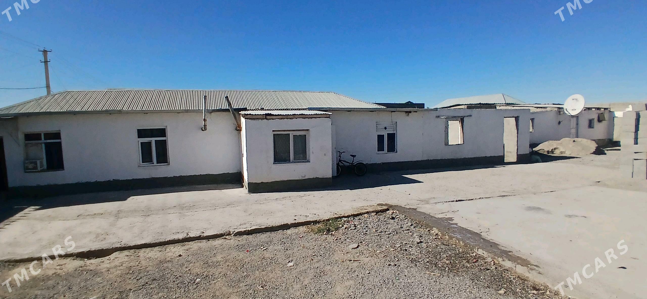 Saltlyk jay - Гёкдепе - img 1