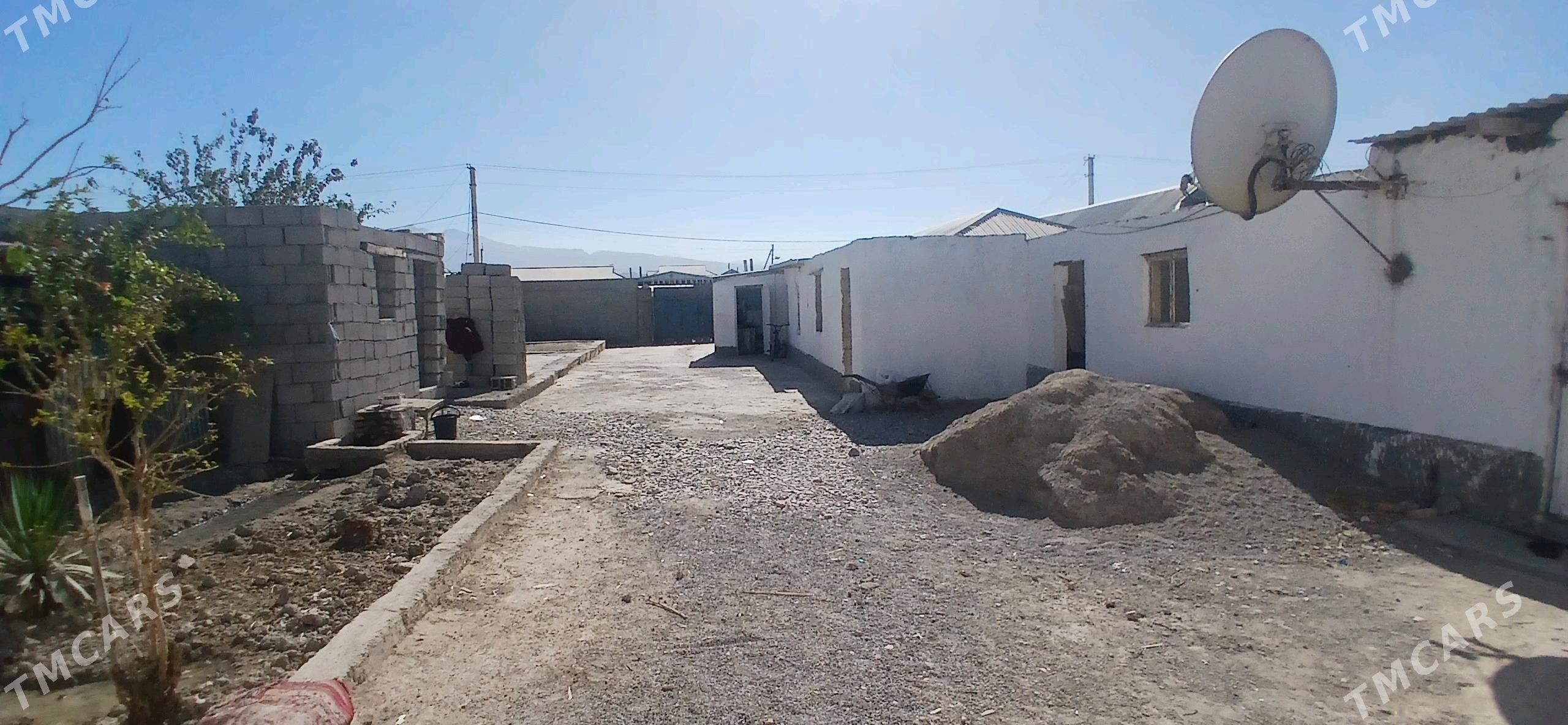 Saltlyk jay - Гёкдепе - img 3