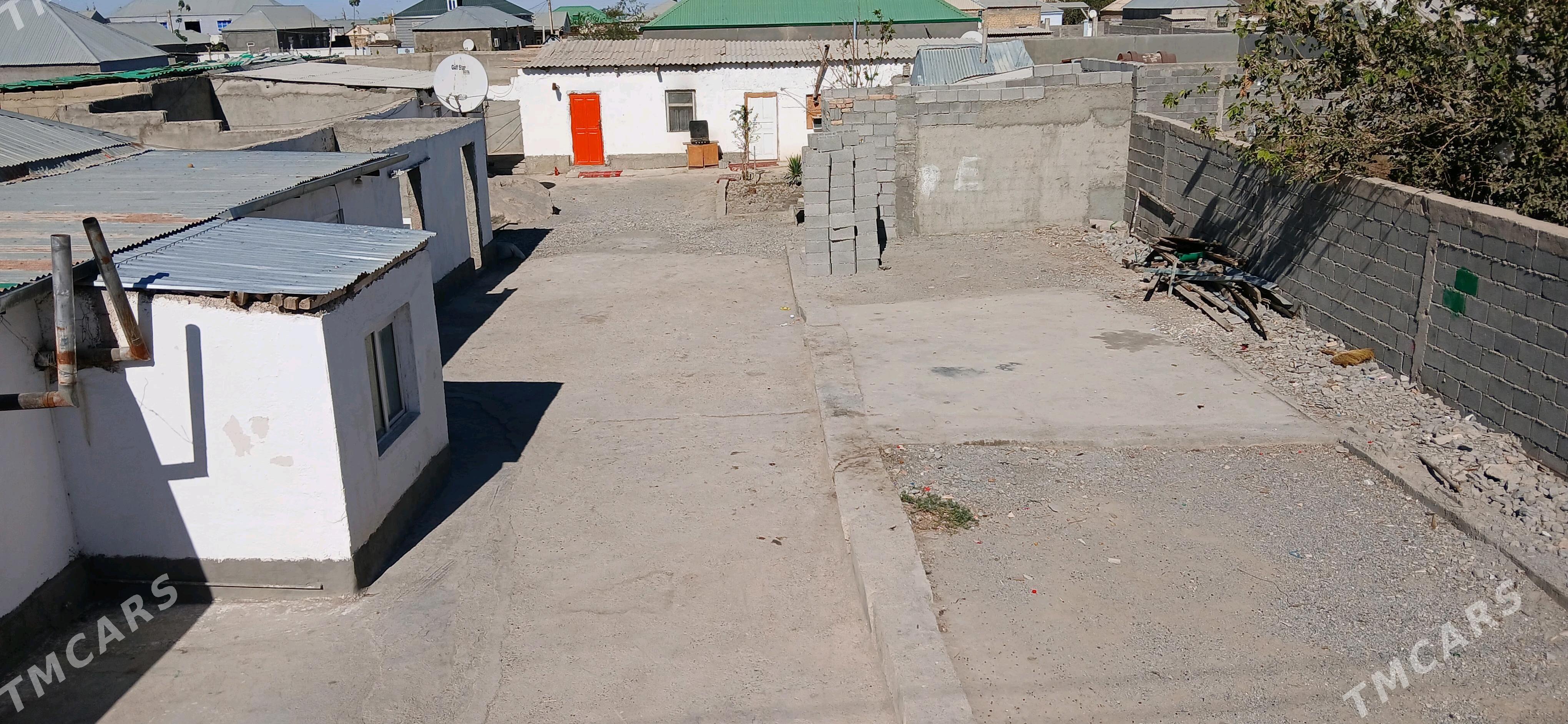 Saltlyk jay - Гёкдепе - img 4