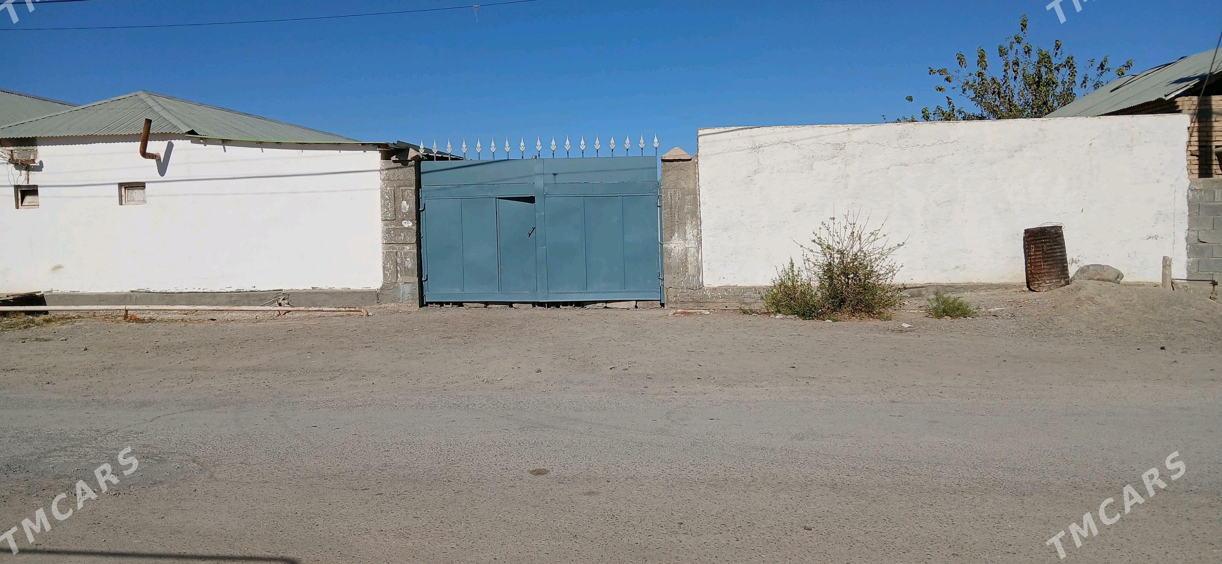 Saltlyk jay - Гёкдепе - img 6