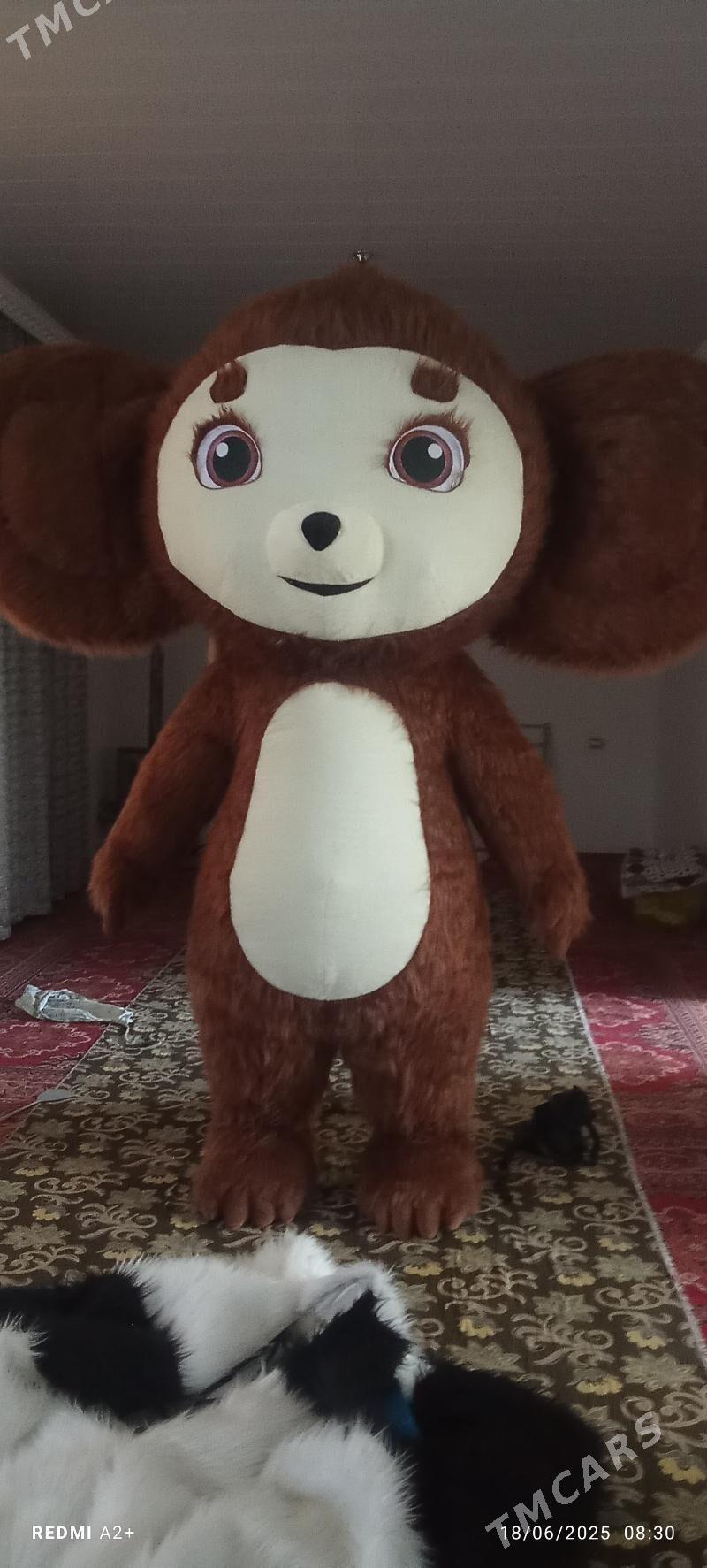 misga cubarasge - Туркменабат - img 3