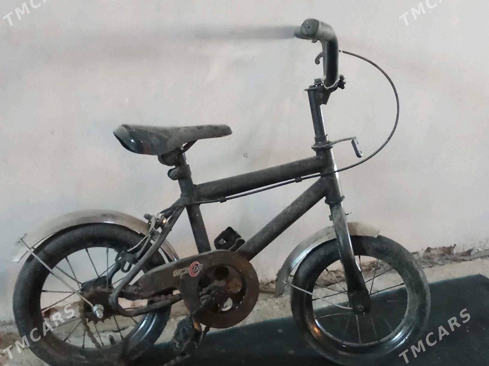 welsepet kiçi cagalara - Сакарчага - img 2