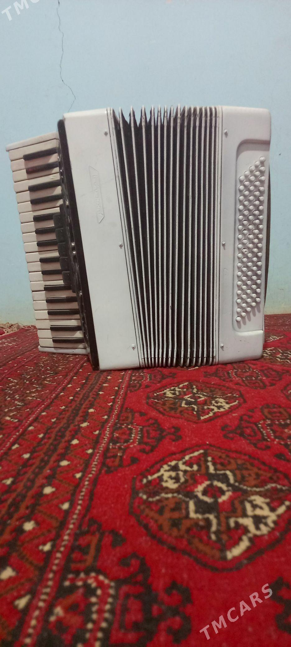 Akardion - Oguz han - img 2