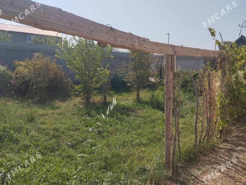 satlyk daca - Туркменабат - img 5