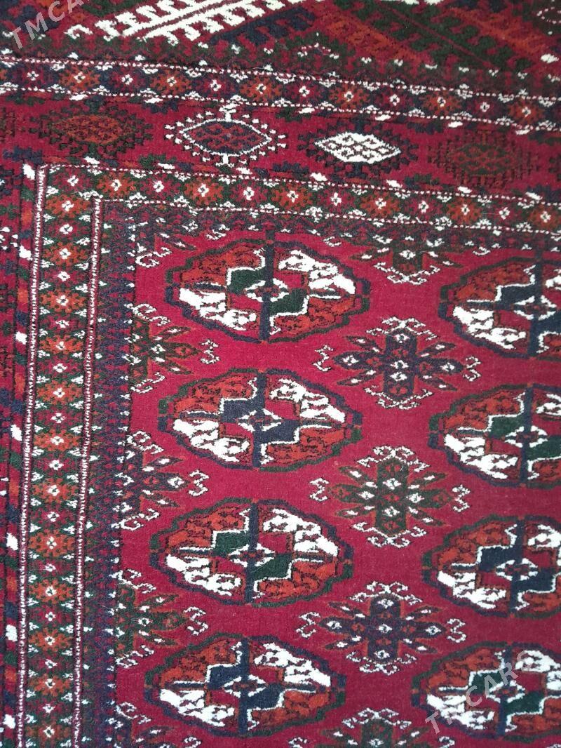turkmen el halysy - Гызыларбат - img 3