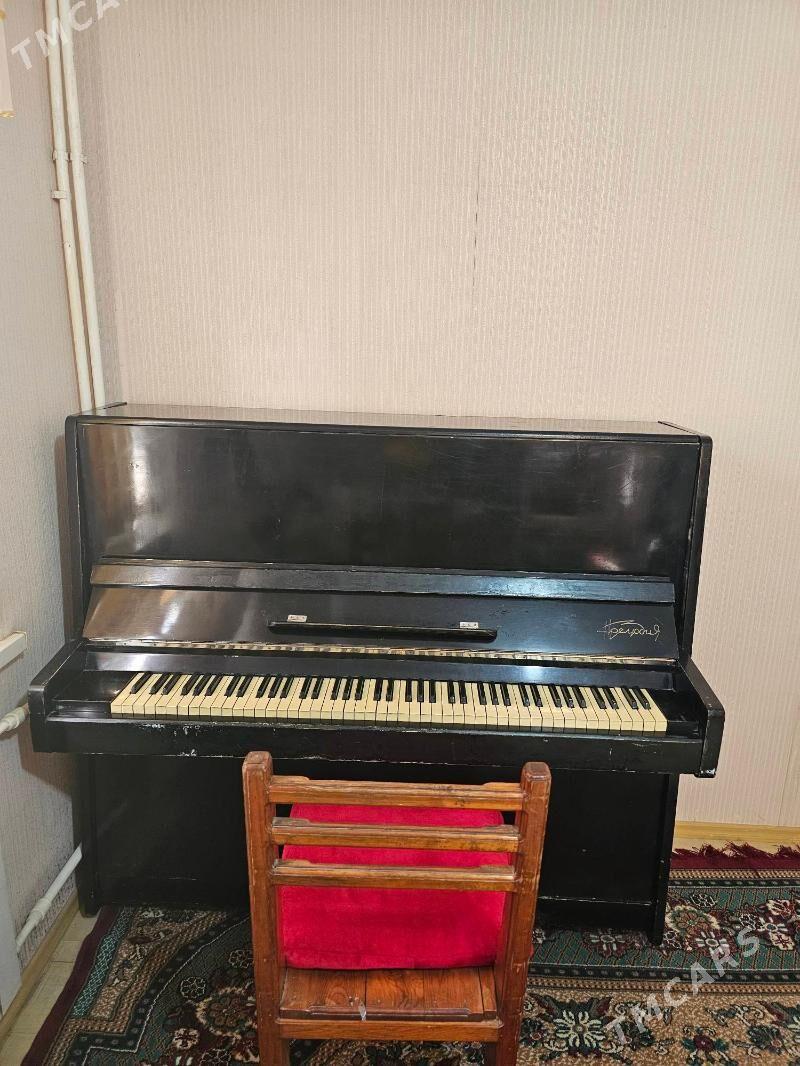 SATLYK PIANINA - Мары - img 2