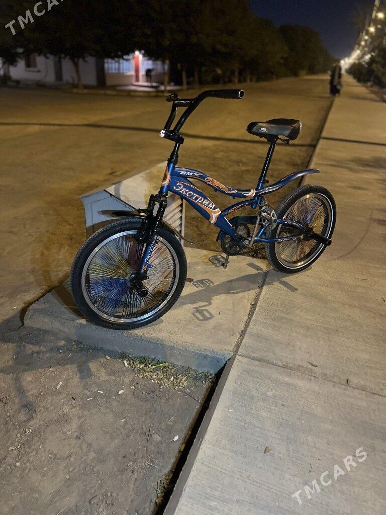 Tigir - Кëши - img 4