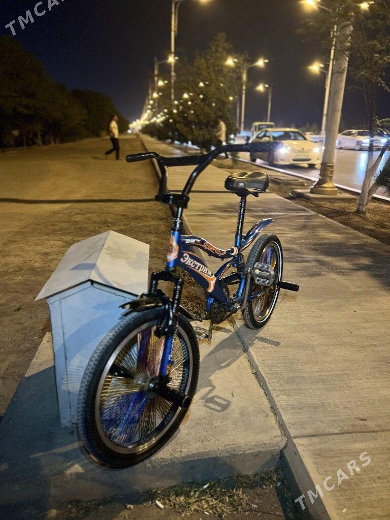 Tigir - Кëши - img 2