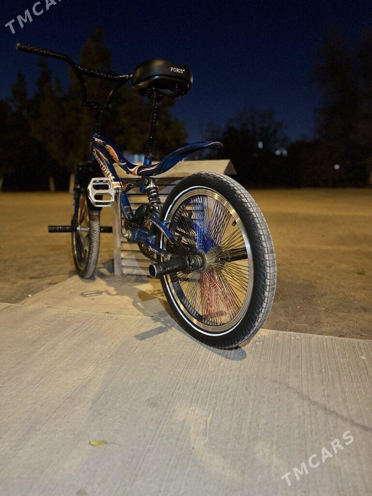 Tigir - Кëши - img 1