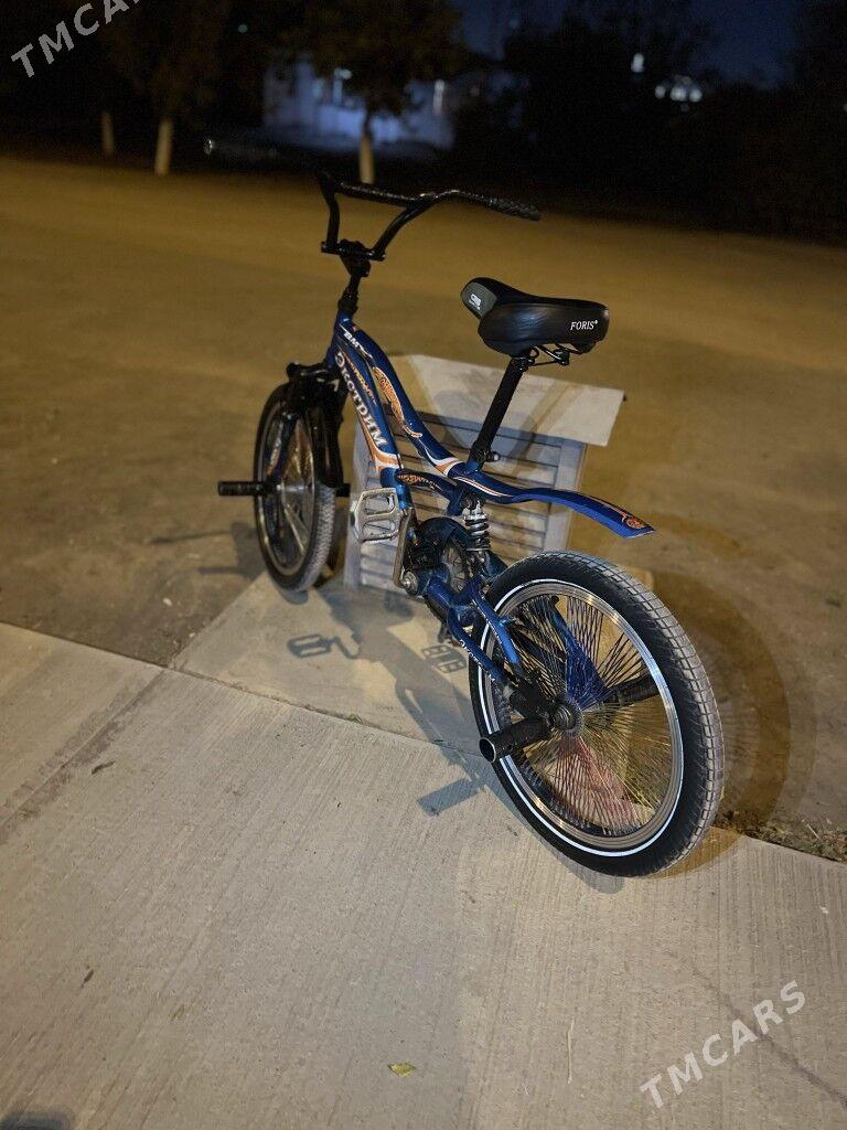 Tigir - Кëши - img 3