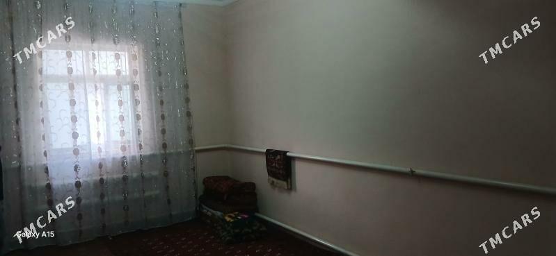 jay - Köneürgenç - img 1