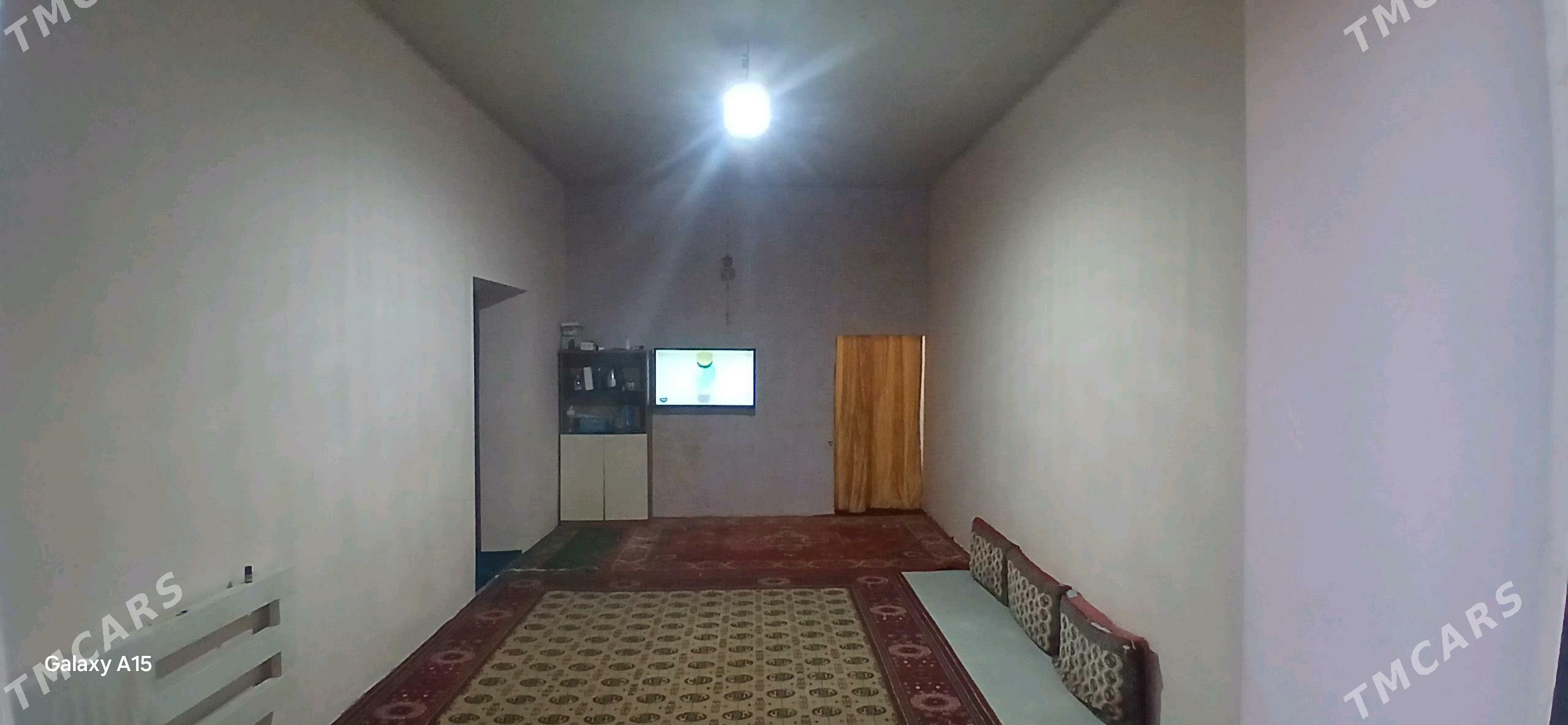 jay - Köneürgenç - img 3