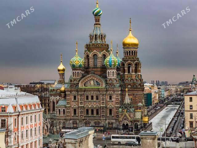 wisa виза - Daşoguz - img 5