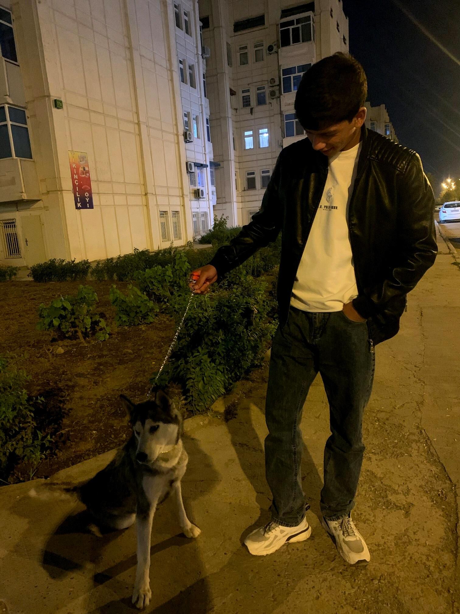 сибирский хаски - Туркменабат - img 1