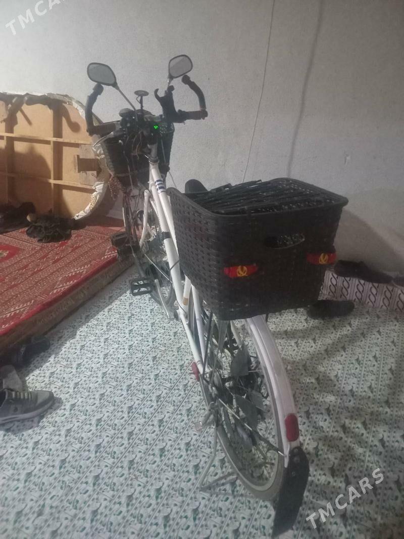 tigir.welosepet - Köneürgenç - img 1