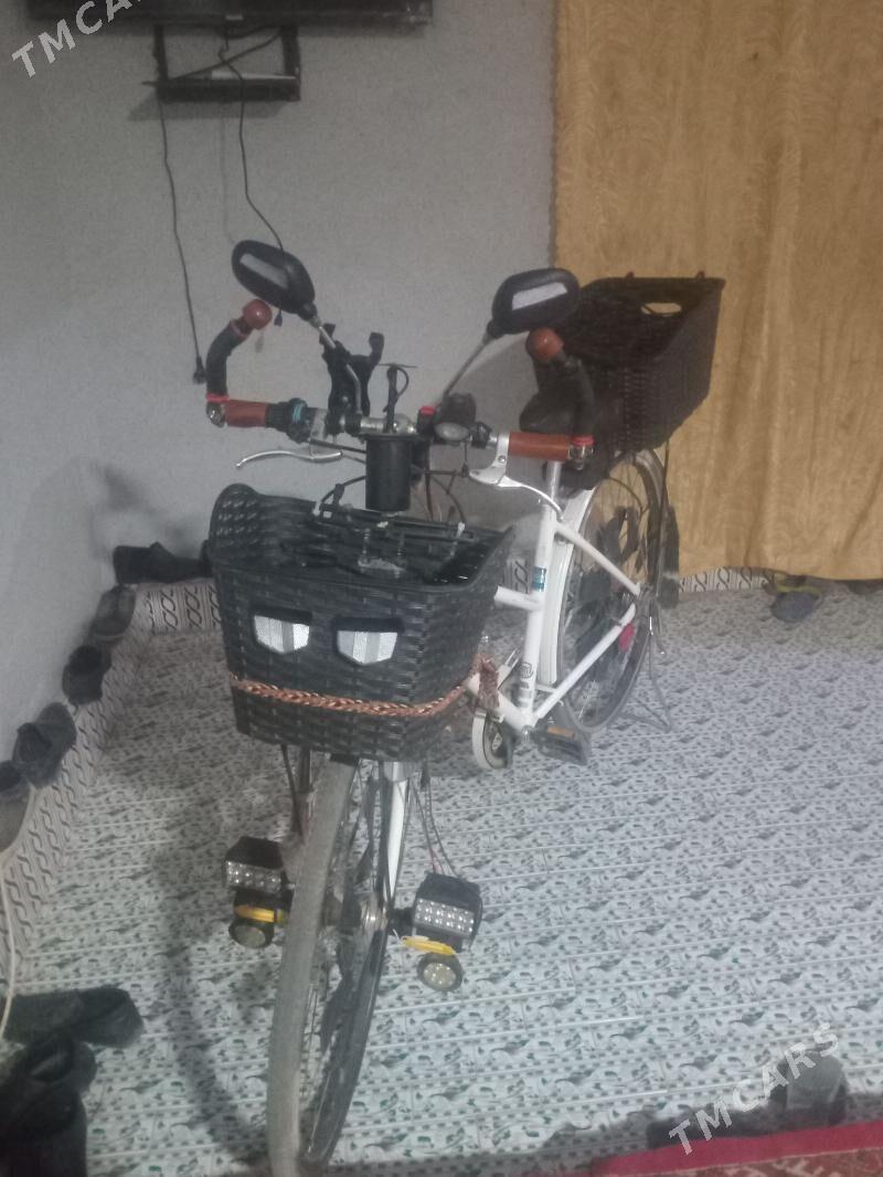 tigir.welosepet - Köneürgenç - img 2