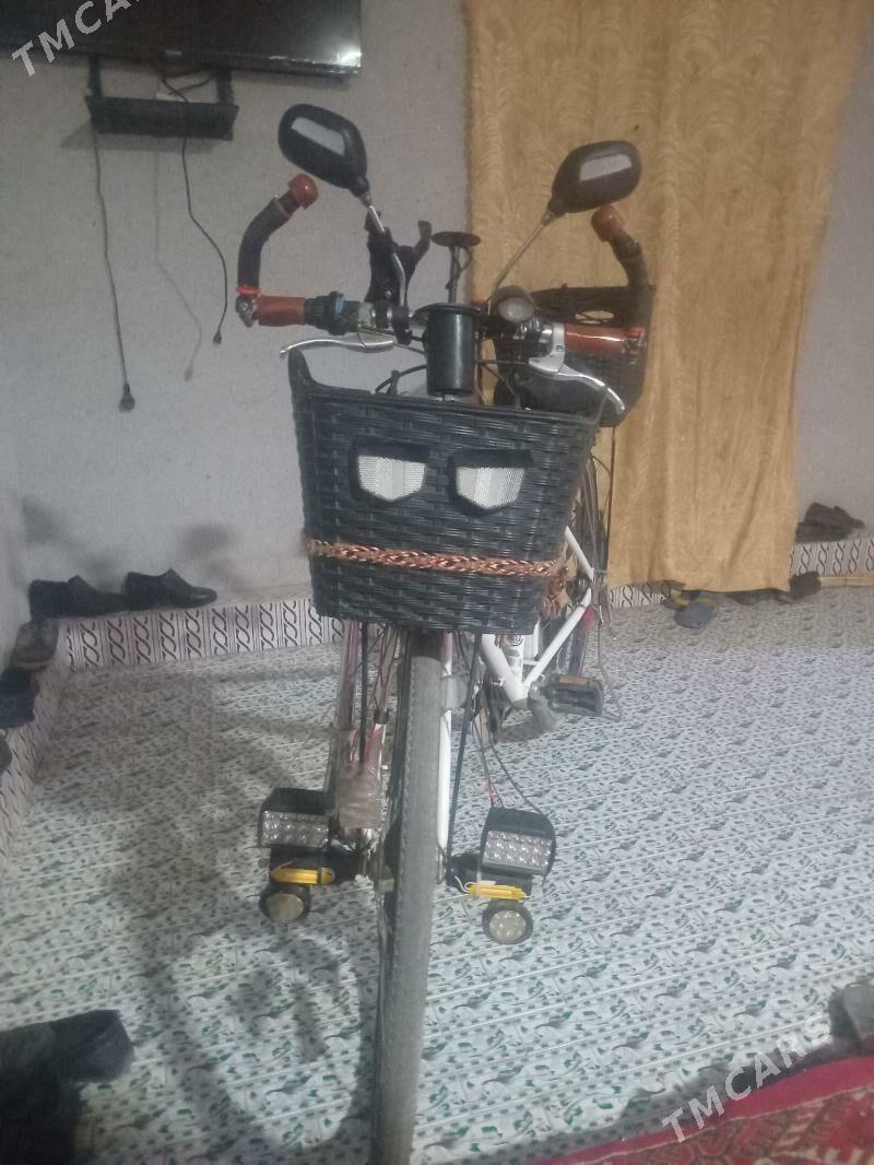 tigir.welosepet - Köneürgenç - img 4