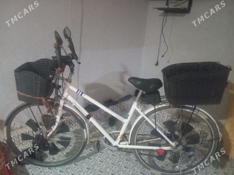 tigir.welosepet - Köneürgenç - img 3