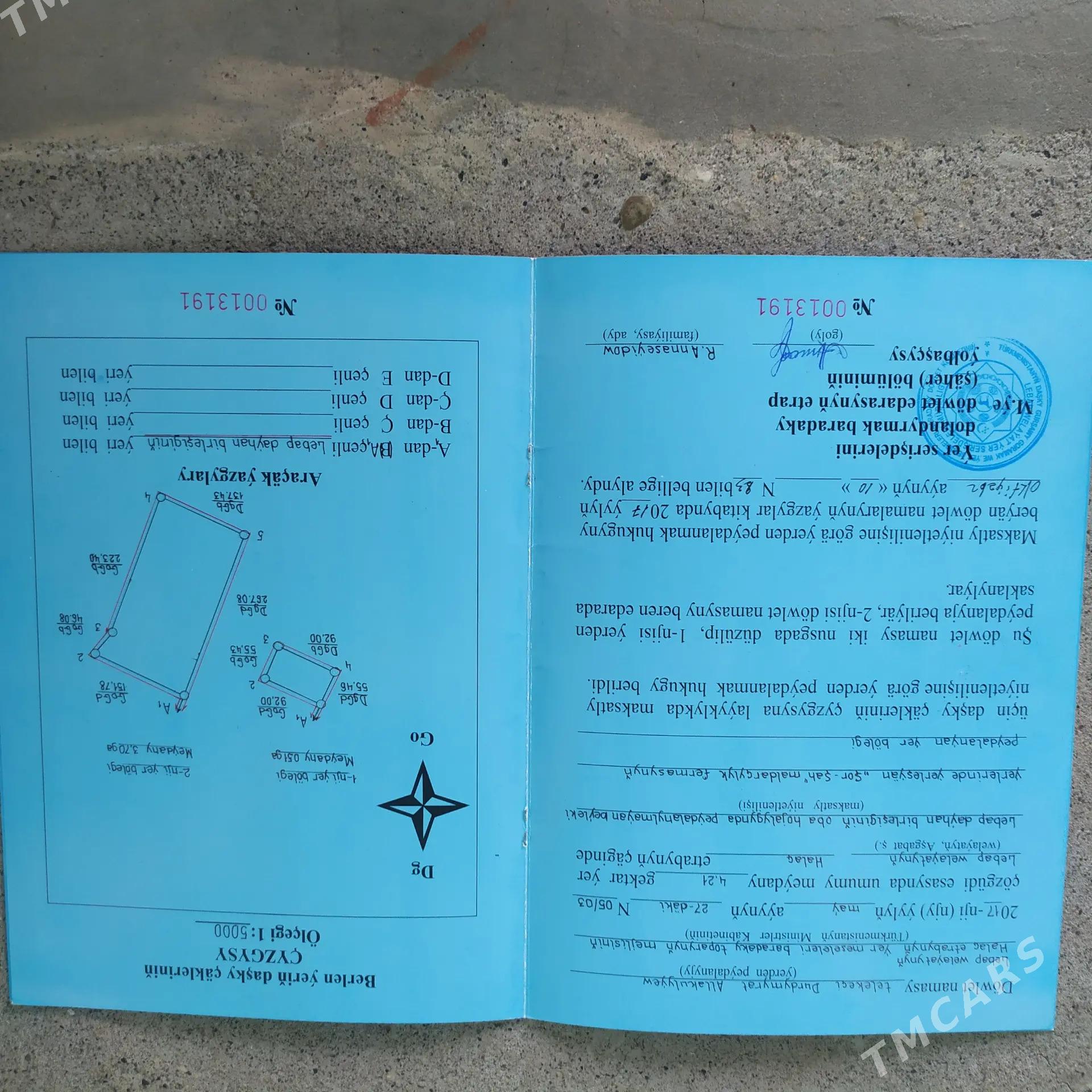 satlyk ferma - Халач - img 1