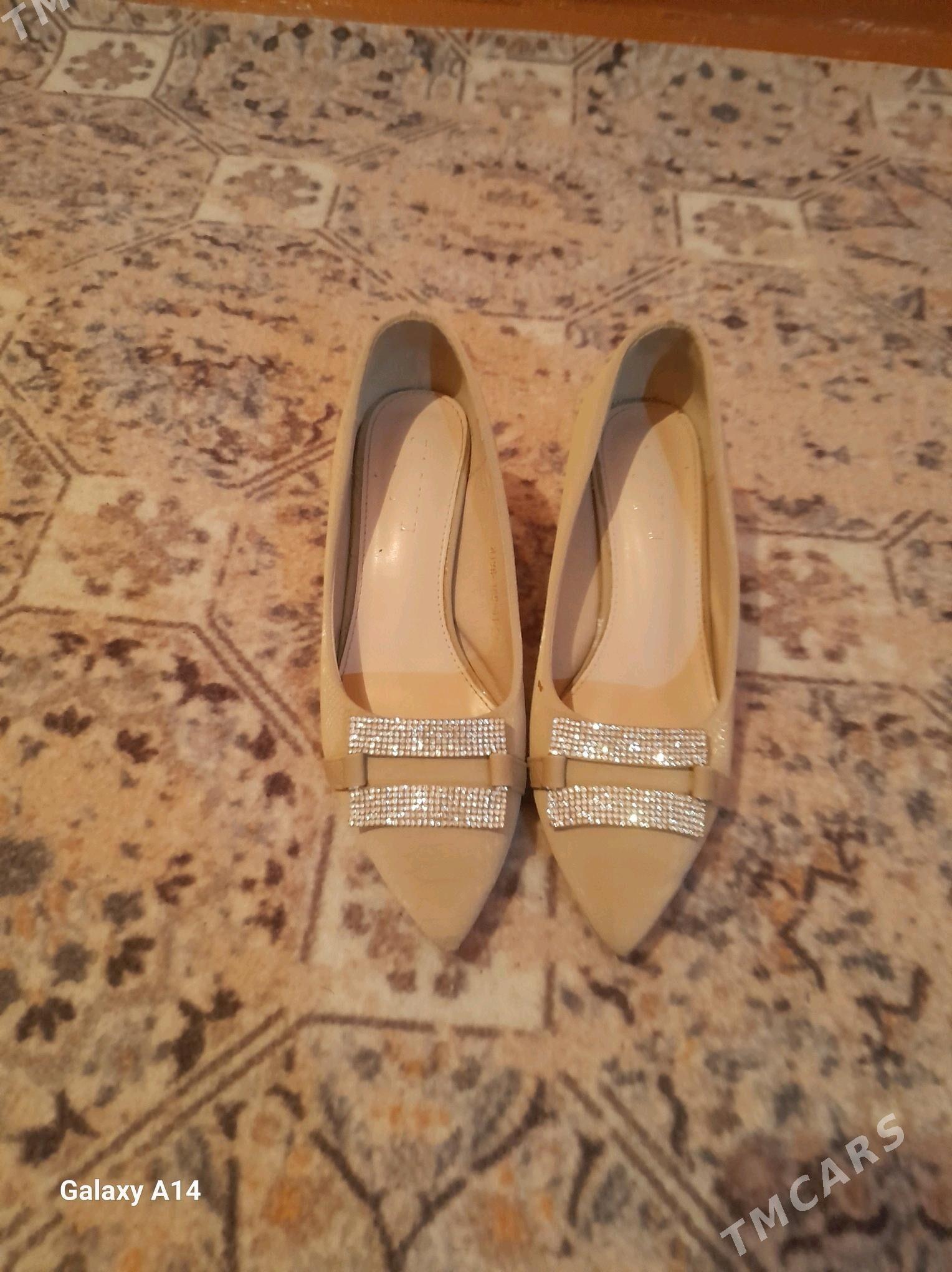 Ökjeli kowus - Tejen - img 3