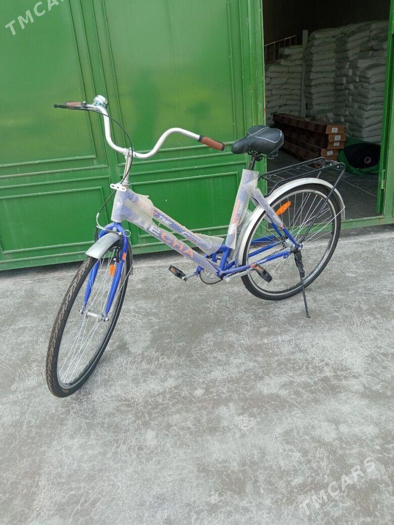 28Tigir - Kaka - img 2