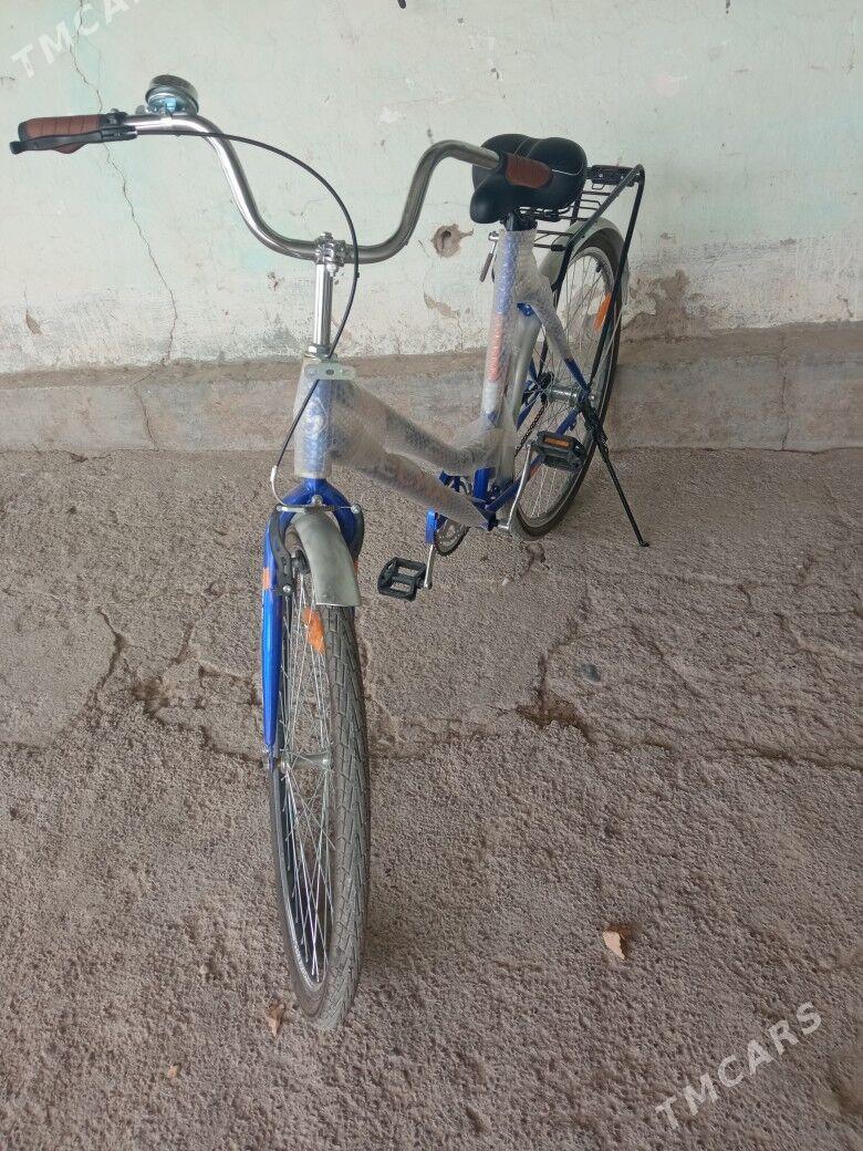 28Tigir - Kaka - img 7