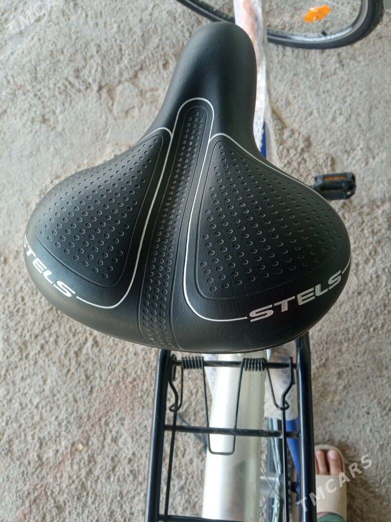 28Tigir - Kaka - img 3