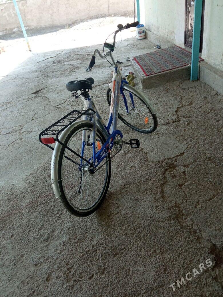 28Tigir - Kaka - img 4